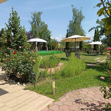 Hotel Esprit Μπρασόβ Εξωτερικό φωτογραφία